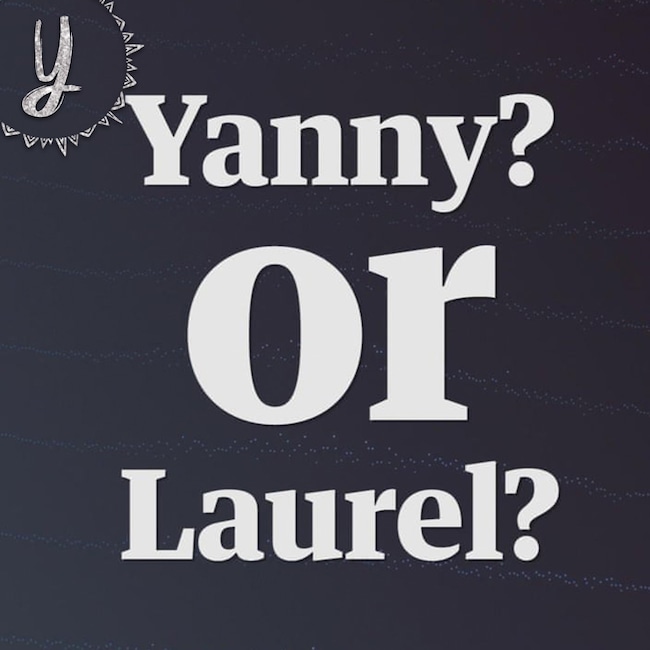 The Year In... 2018 A-Z Guide, Yanny